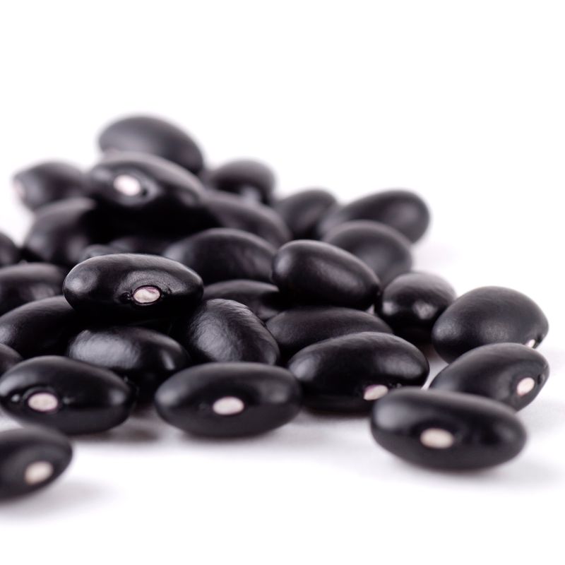 Augason Farms Black Beans Emergency Bulk Food Storage 4-Gallon Pail 236 Servings