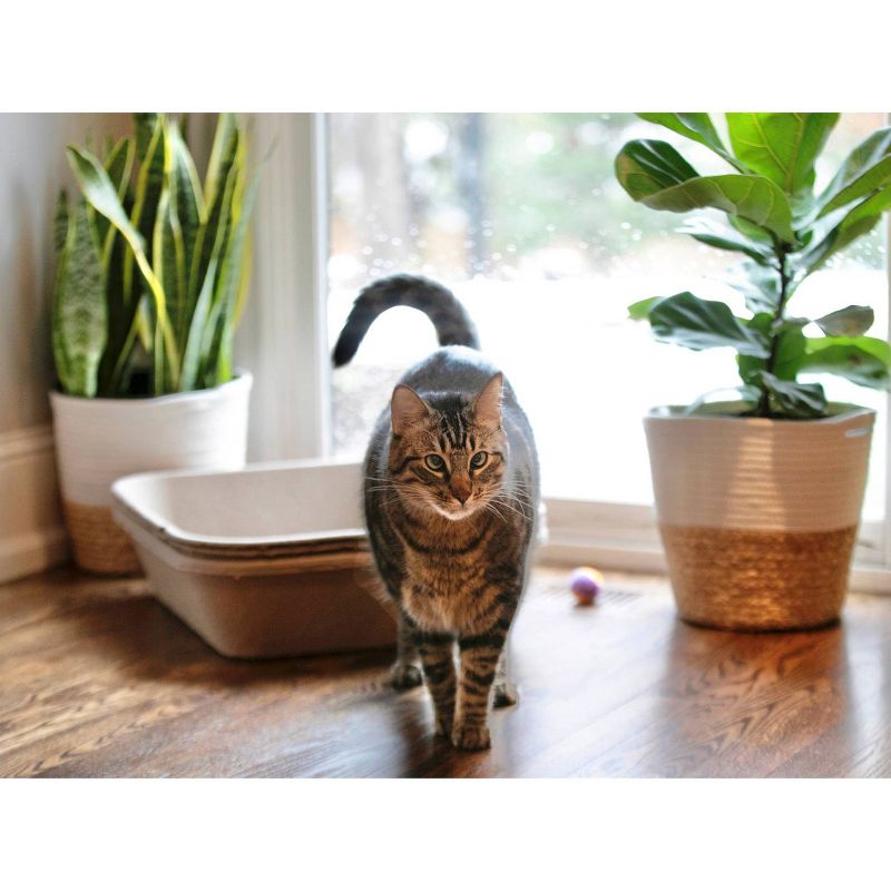 Kitty Sift Disposable Cat Litter Box - L - 3pk