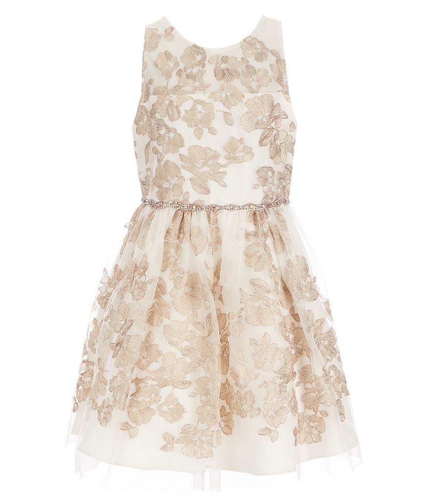 Rare Editions Big Girls 7-16 Sleeveless Floral Mesh Dress