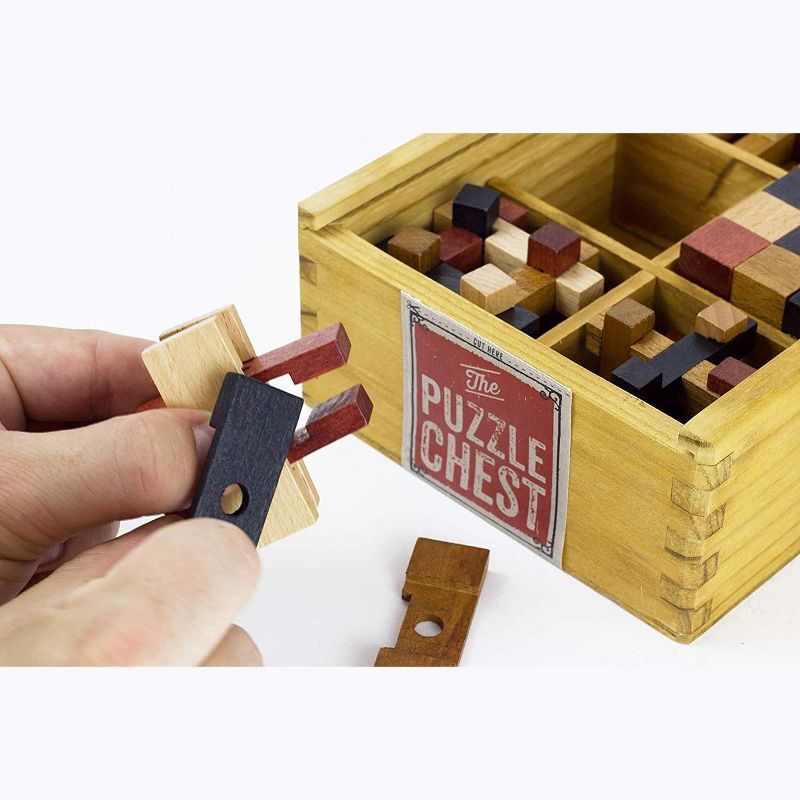 Professor Puzzle The Puzzle Chest 3D Wooden Brain Teasers 6 Piece Set