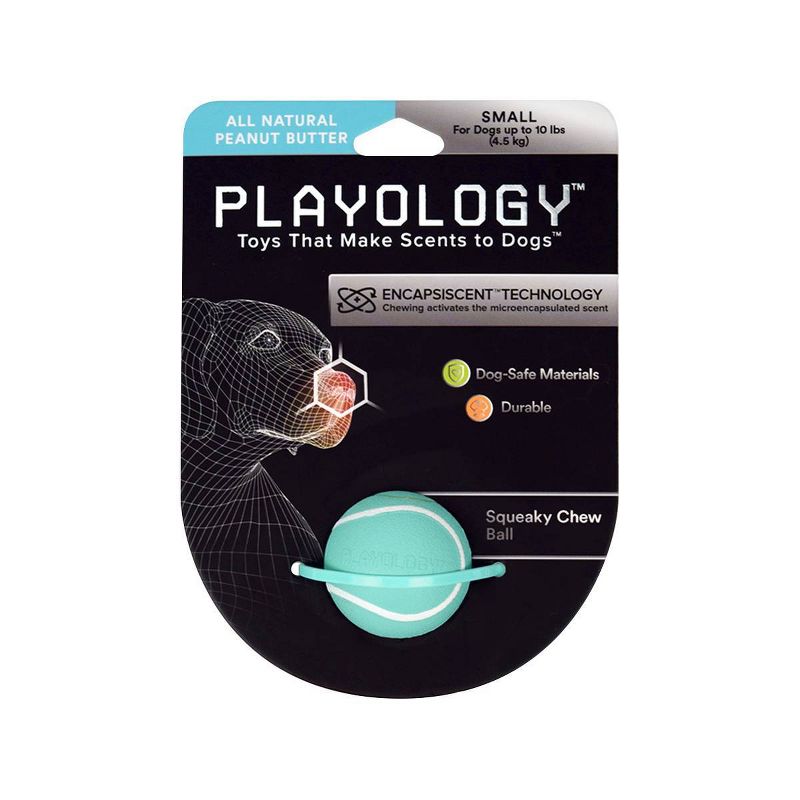 Playology Peanut Butter Scent Chew Ball Dog Toy - Blue - S