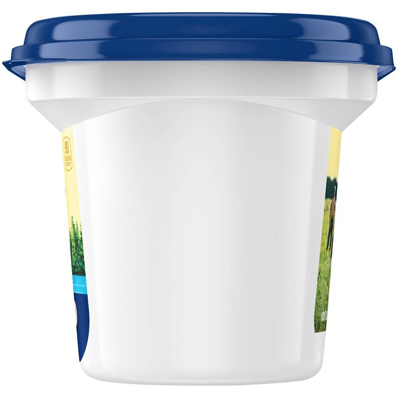 Land O Lakes Spreadable Butter with Olive Oil & Sea Salt - 7oz