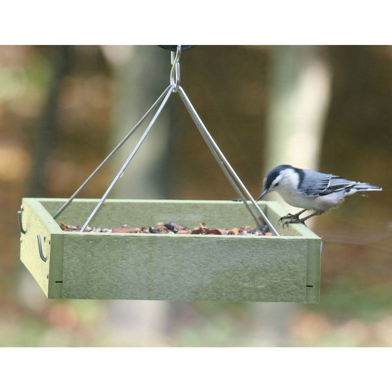 Birds Choice Hanging Tray Feeder, Small