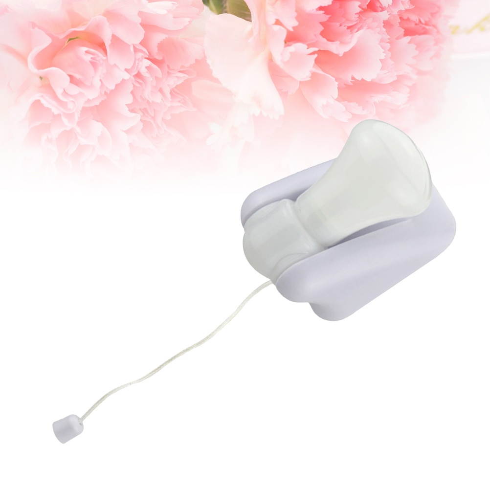 Ibanez AWFS300CE Acoustic/Electric, Open Pore Semi-Gloss