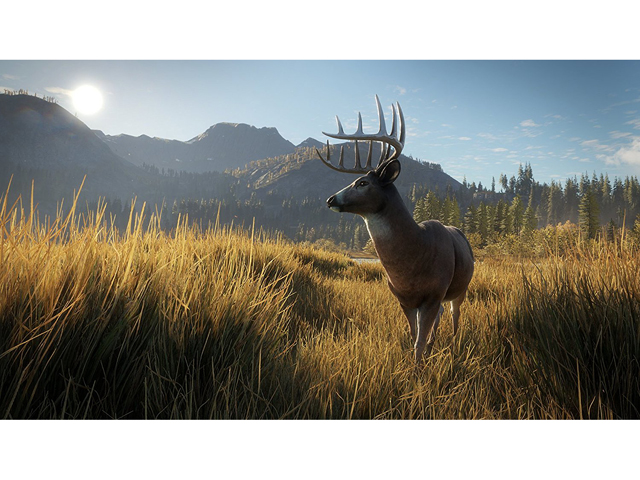 The Hunter: Call Of The Wild - Xbox One