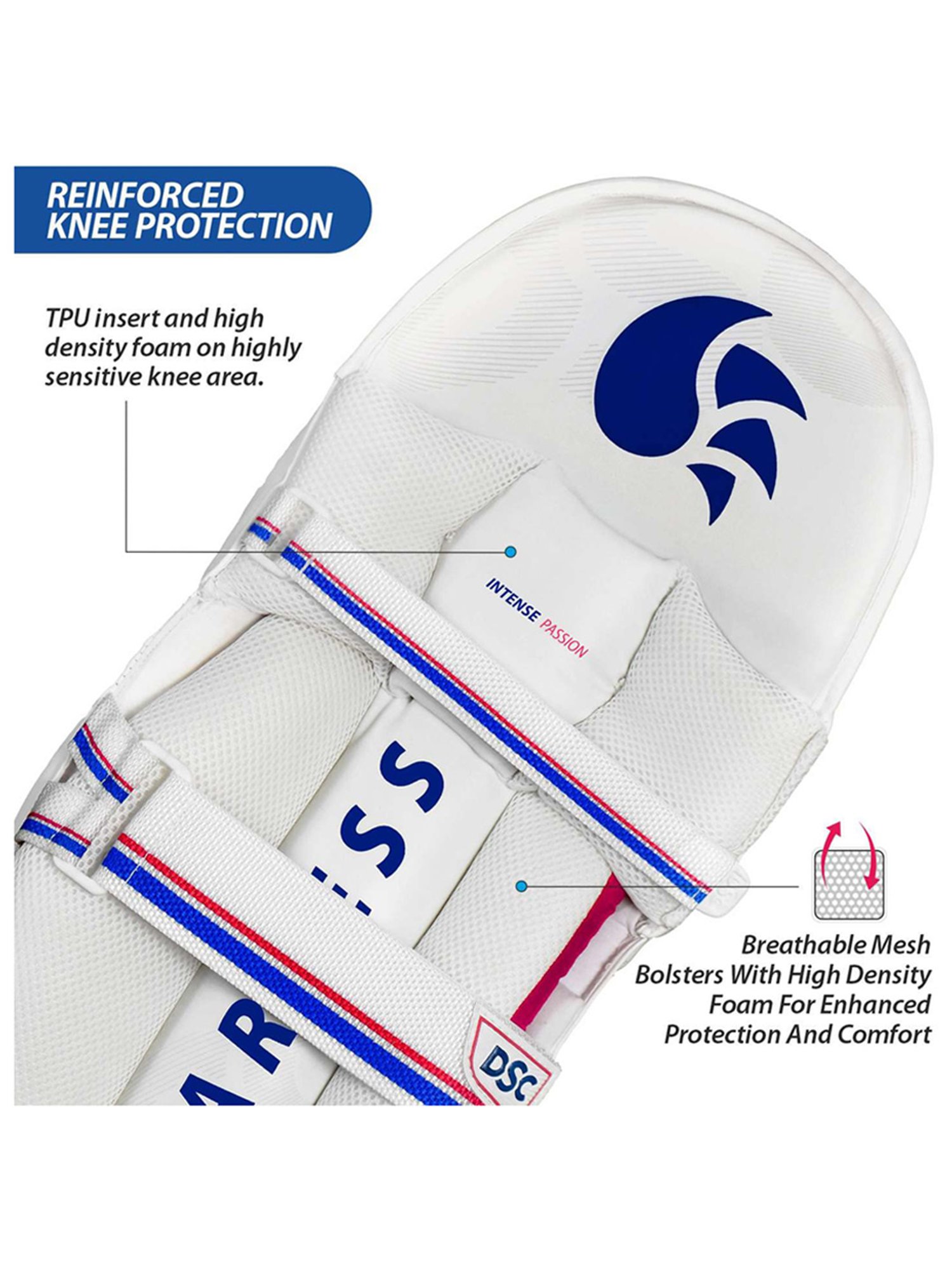 DSC Intense Passion Cricket Batting Legguard Size - Boys