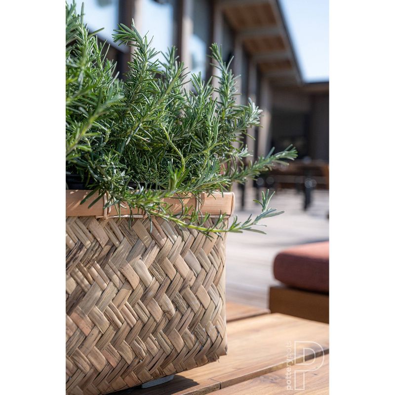 Extra Small Nouri Bamboo Indoor/Outdoor Rectangular Planter Brown - Pottery Pots