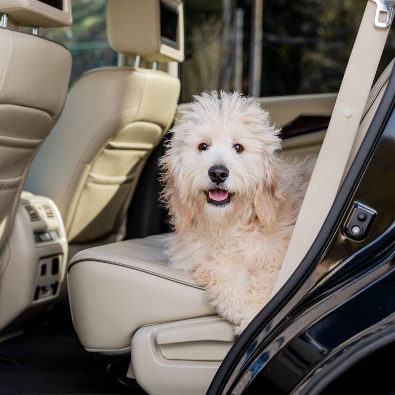 PetSafe Happy Ride Dog Ramp Adapter - Black