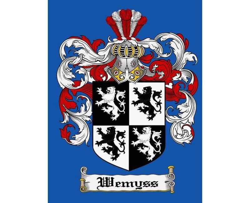 Wemyss of Ireland - by  Theresa Cleaver (Hardcover)