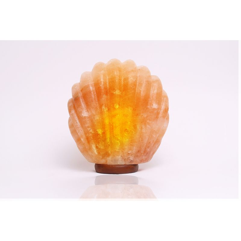 Sea Shell Salt Lamp Pink - Q&A Himalayan Salt