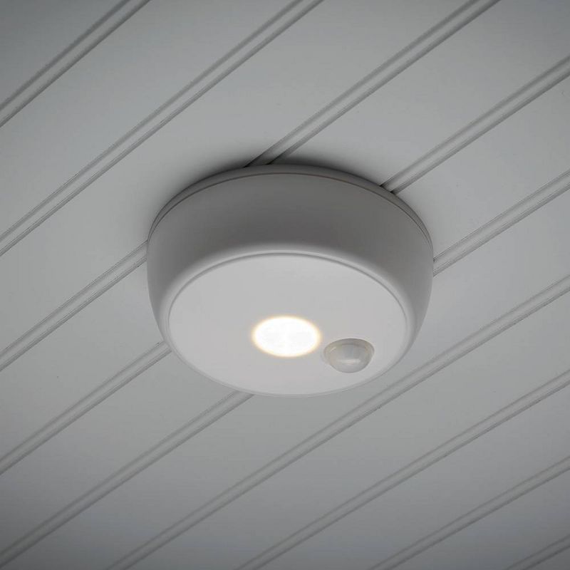 Home4U Golden Hanging Light - Set of 1