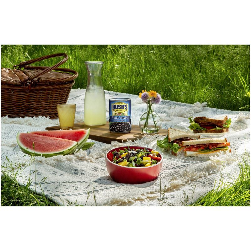 Bush's Black Beans - 15oz