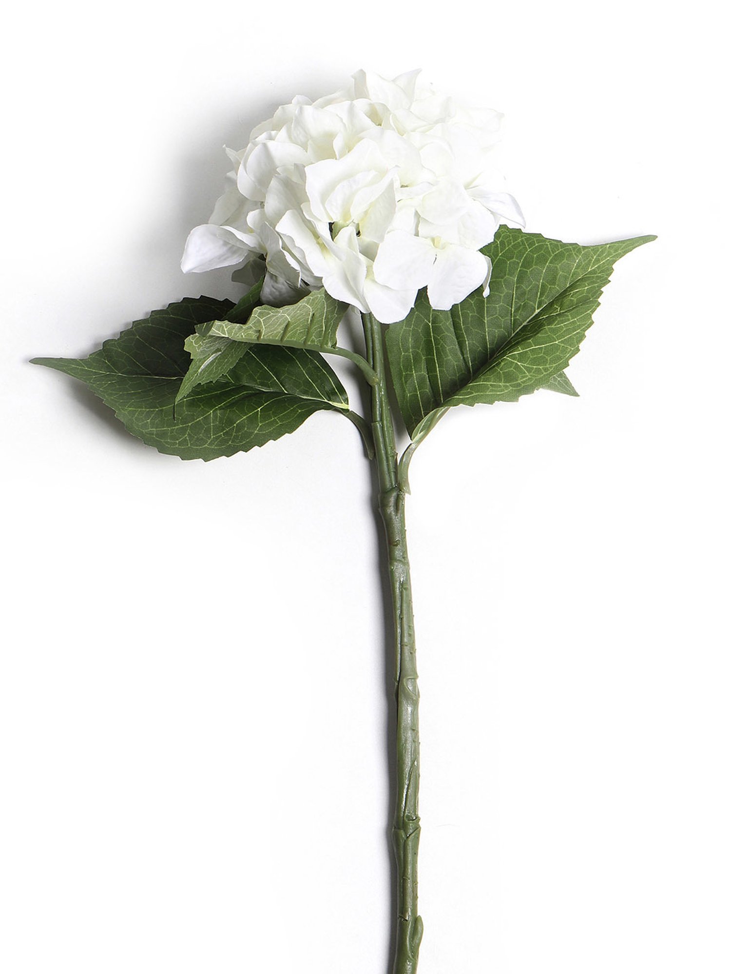 Pure Home and Living White Plastic Solid Flower Stems
