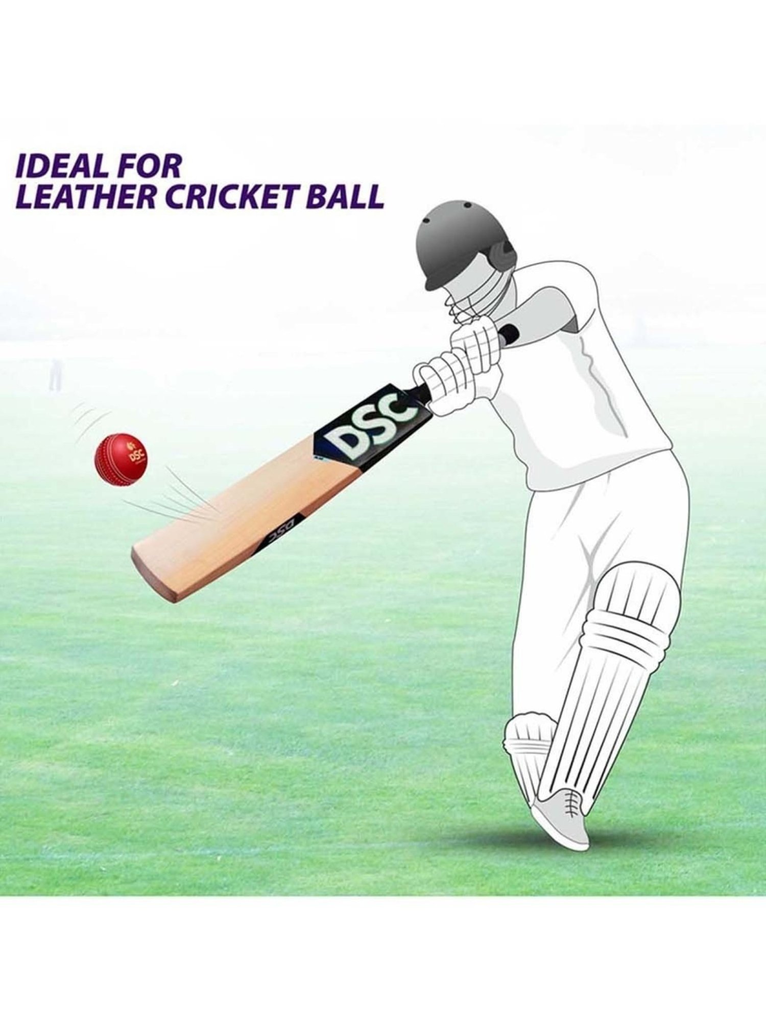 DSC Blak 200 English Willow Cricket Bat Size - 6