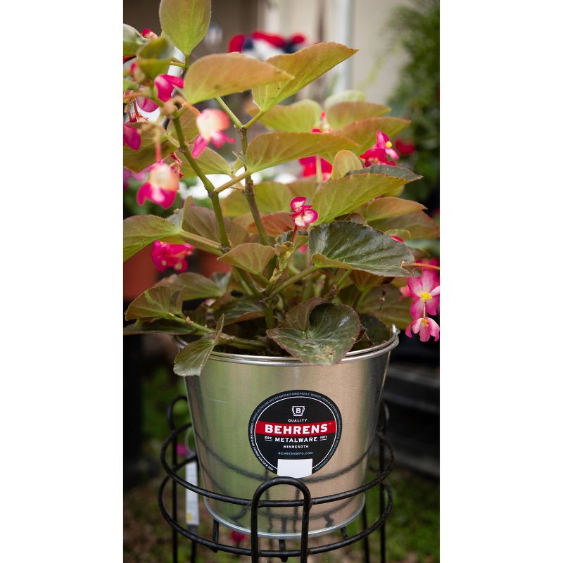 Behrens 5qt 3pk Galvanized Steel Pail Silver