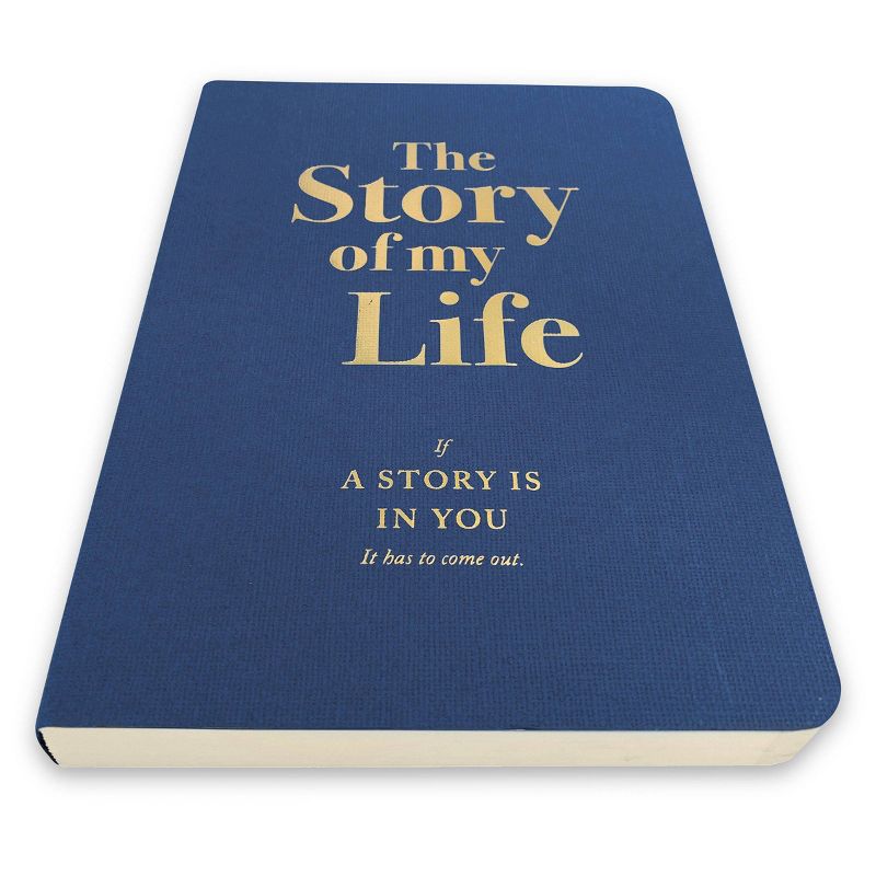 The Story of My Life Activity Journal - Piccadilly
