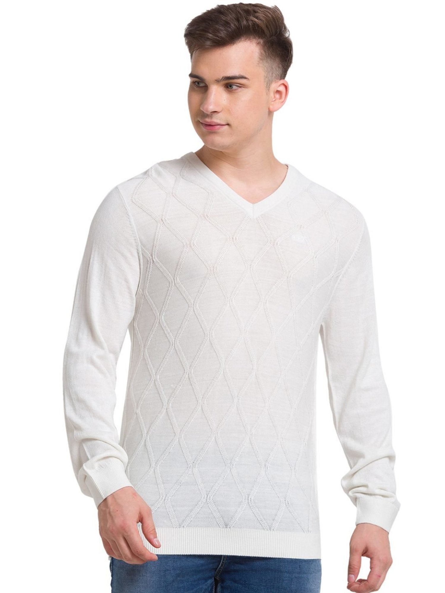 ColorPlus White Tailored Fit Self Pattern Sweater