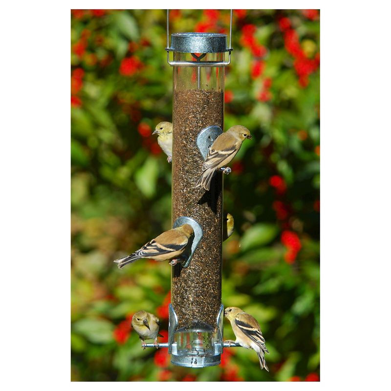 Droll Yankees Classic Finch Feeder with Ring Pull Advantage - Silver