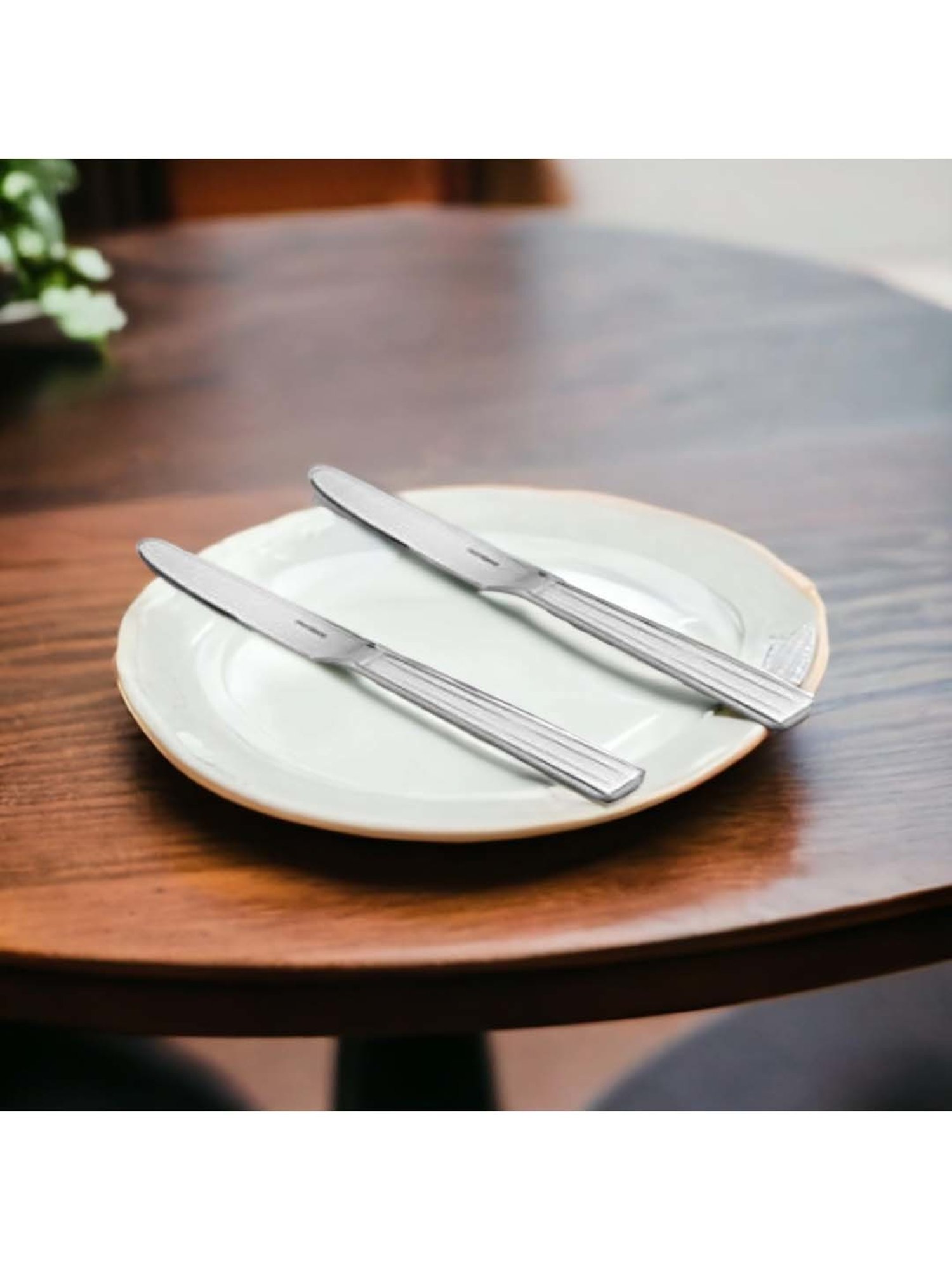 FnS Flair Silver Stainless Steel Dinner Knife - Set of 2