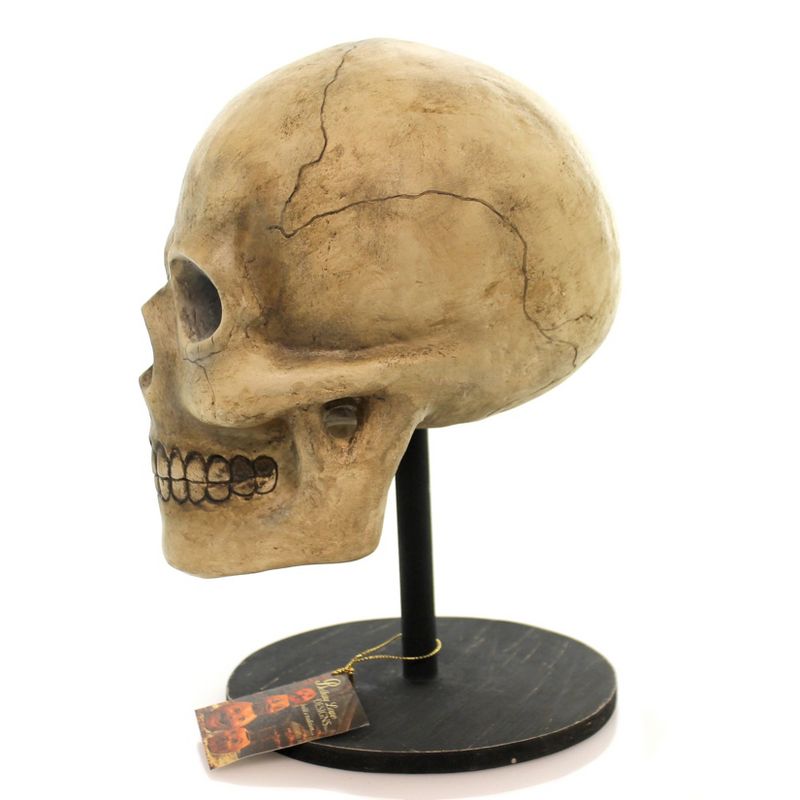Halloween Bone Head Skeleton Skullbuggery  -  Decorative Figurines