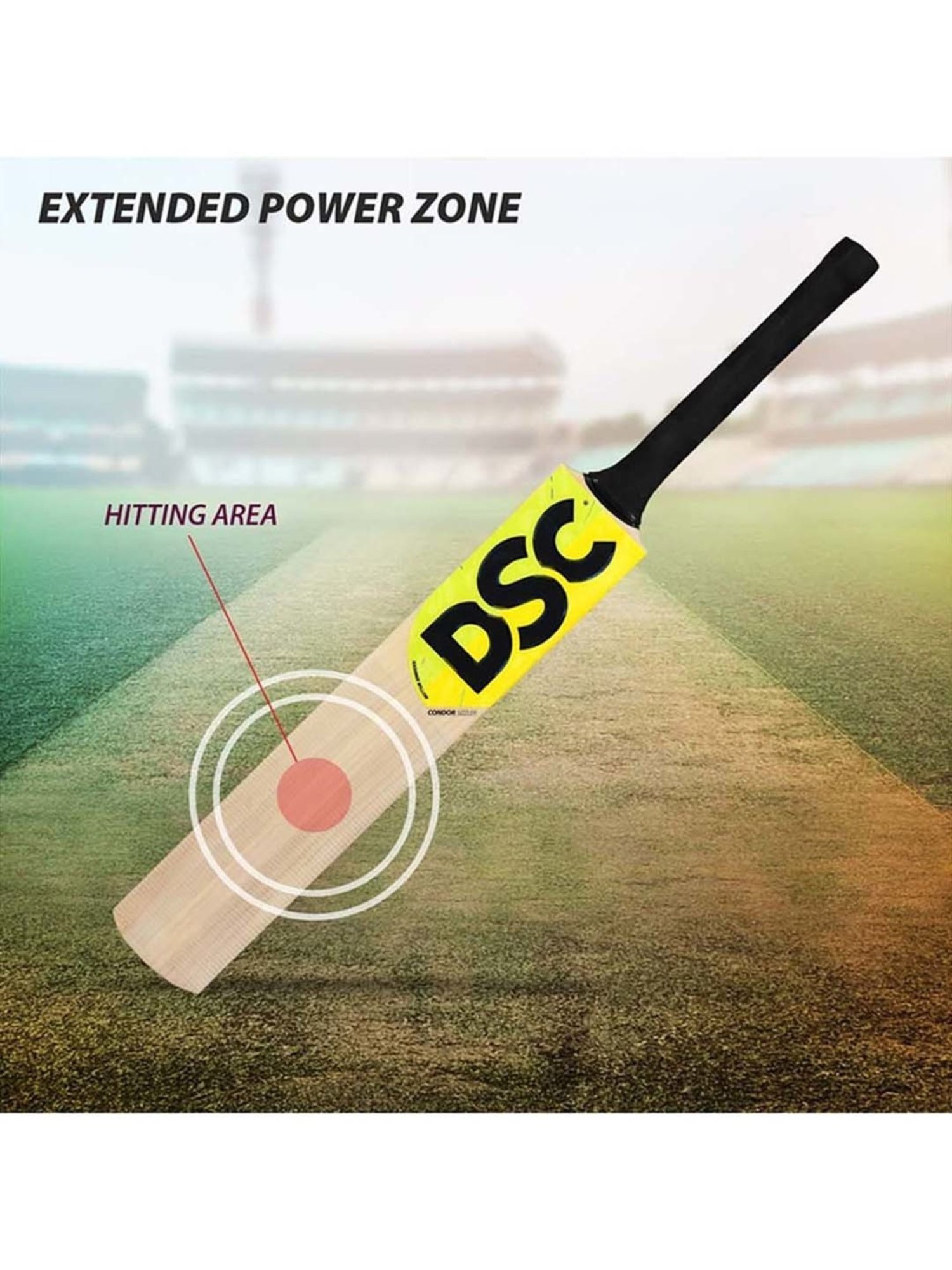 DSC Condor Sizzler Kashmir Willow Cricket Bat Size - 1