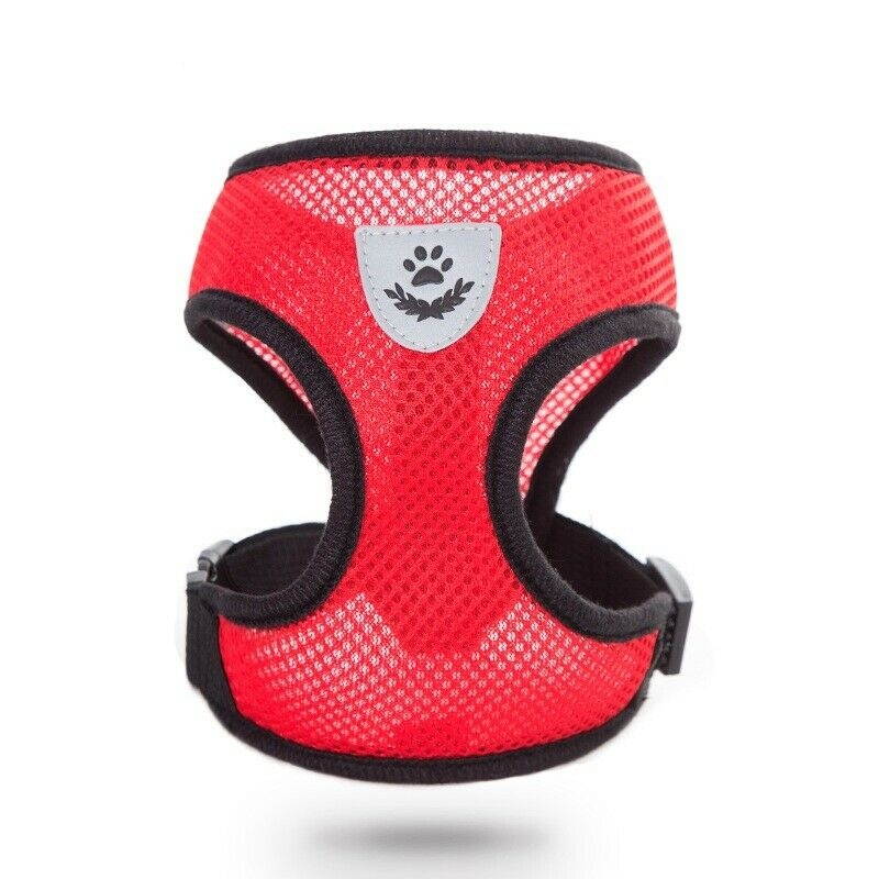 Mesh Padded Soft Puppy Pet Dog Harness Breathable Comfortable Many Colors S M L