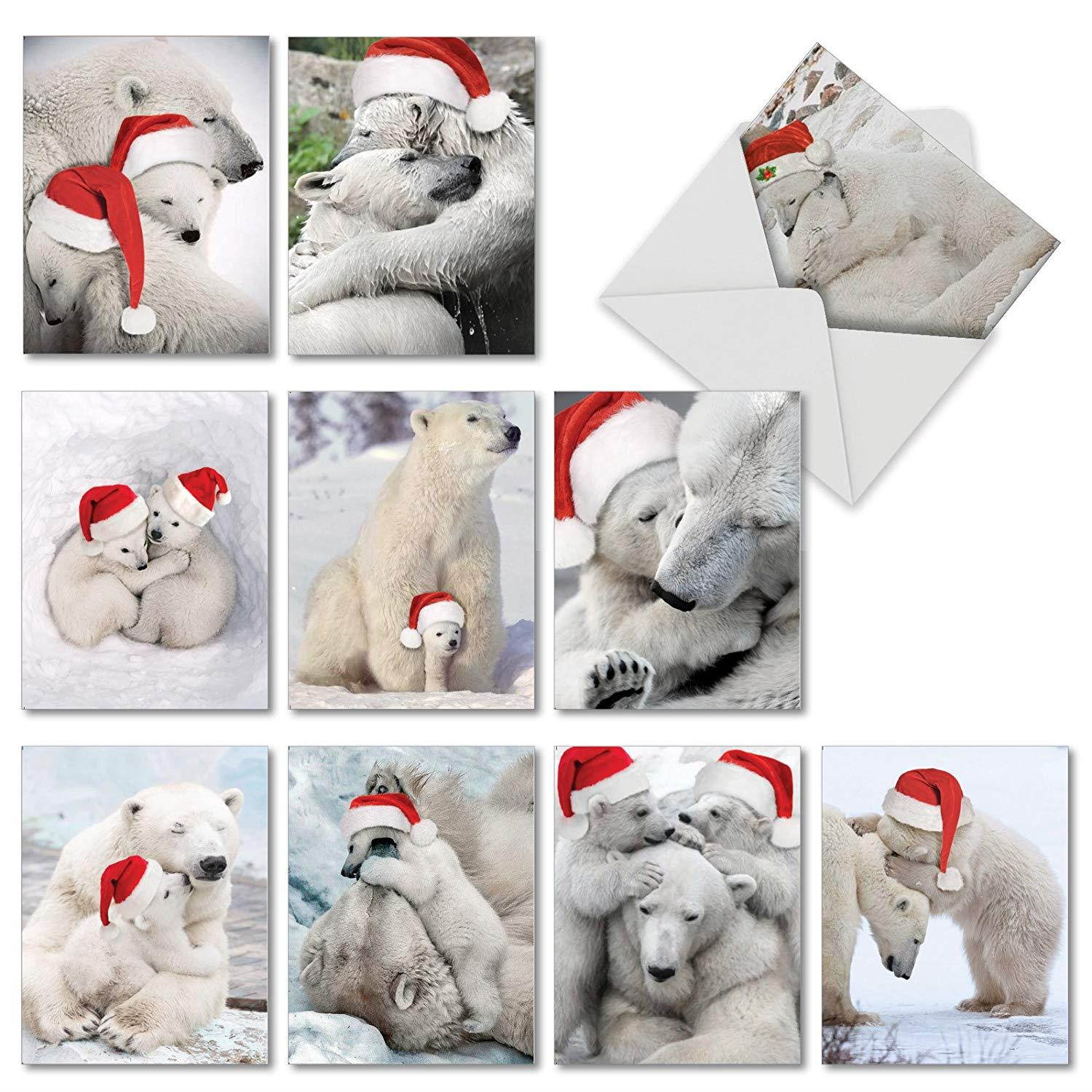 Bear Hugs: 10 Assorted Christmas Greeting Cards Santa's Hat and Lovable Polar Bears Cuddling, with Envelopes. AM6327XSG-B1x10
