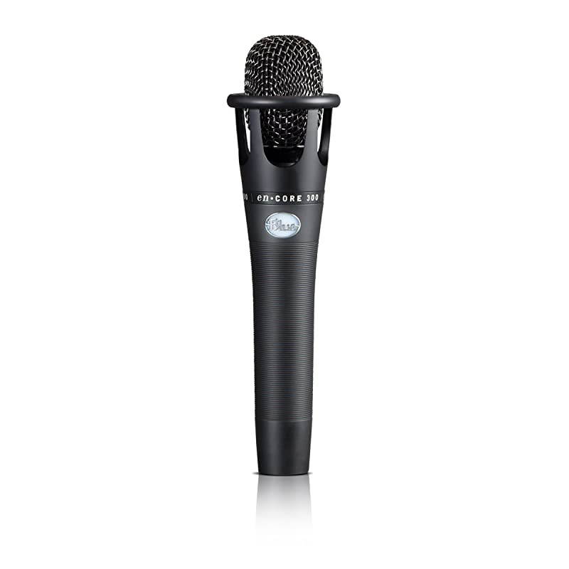 Encore 300 Vocal Condenser Microphone