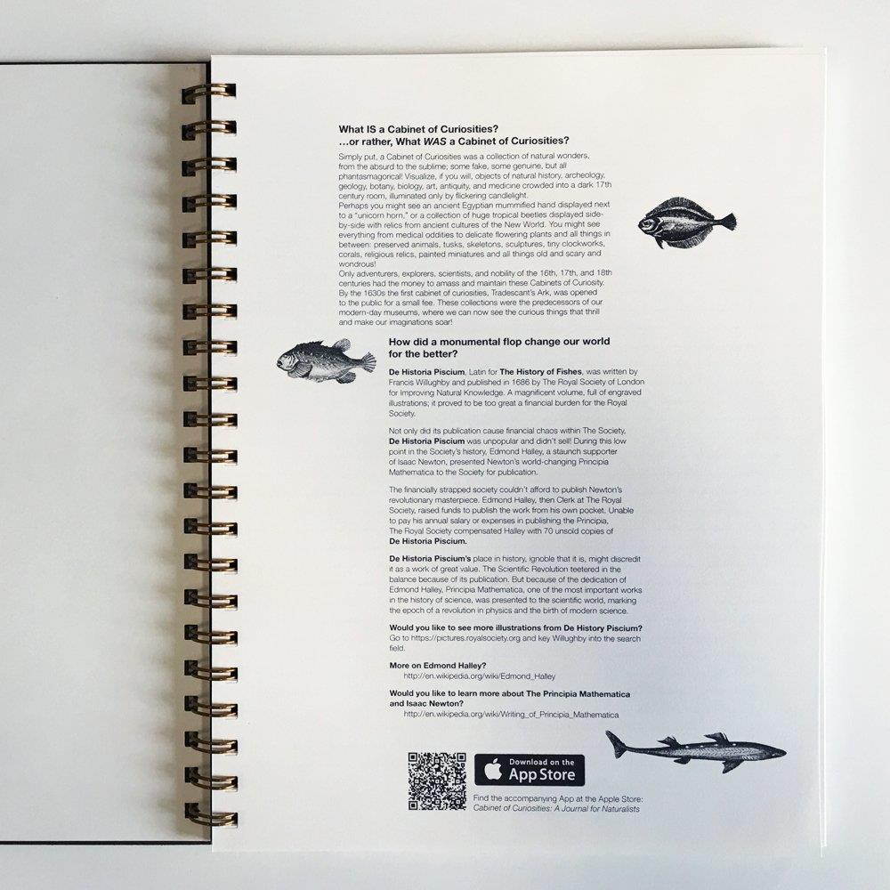 Action Publishing Cabinet of Curiosities &middot; De Historia Piscium NoteBook &middot; Side-Bound Notebook, 140 Off-White Pages with Various Fish Illustrations (8.5 x 11 inches)