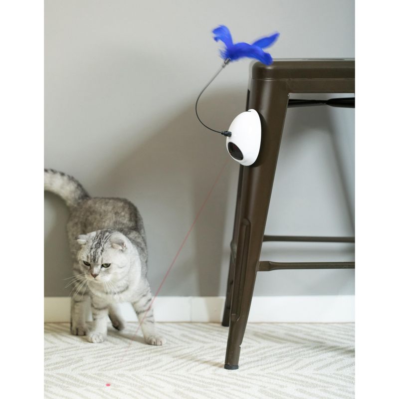 PawsMark Interactive 2-in-1 Spring Feather and Red Light Chaser Cat Toy
