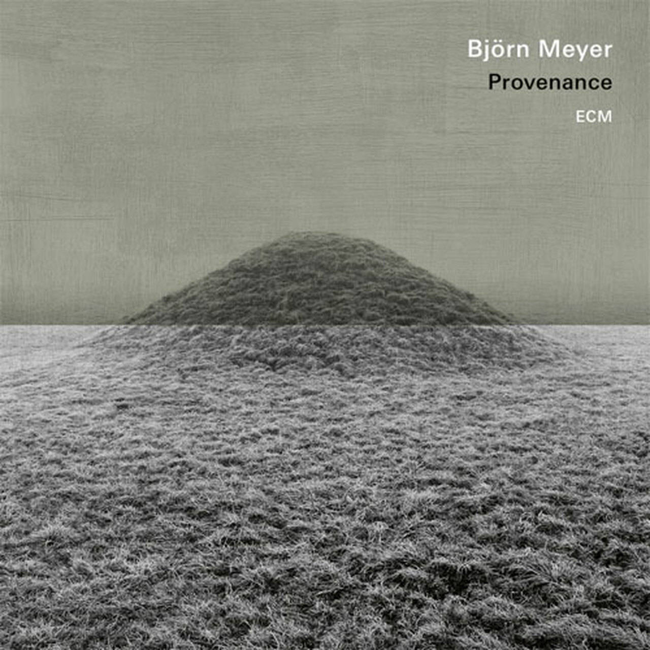 Bjorn Meyer Provenance 180g LP (Vinyl)