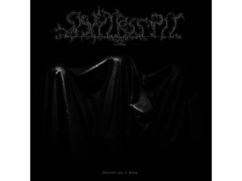 Sightless pit - Grave of a dog (color vinyl) (Vinyl)