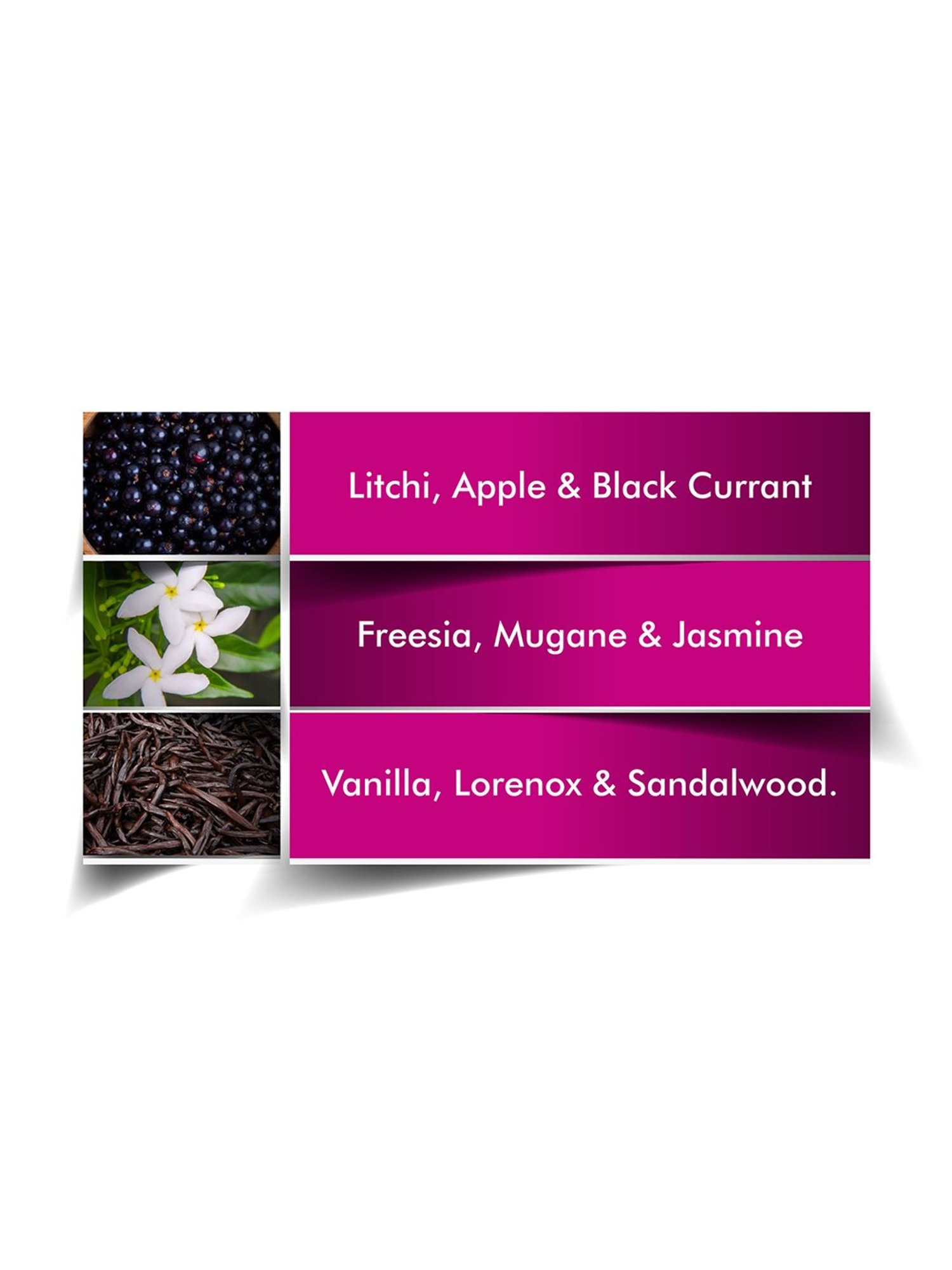 Dorall Collection Monte Carlo Oud Eau de Toilette for Men - 100 ml