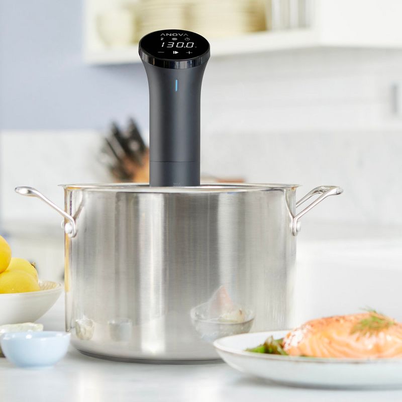 Anova Sous Vide Nano Precision Cooker