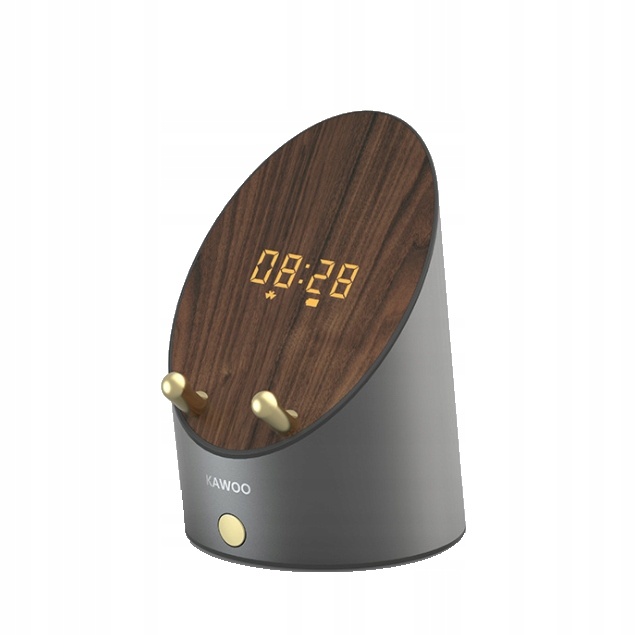 Bluetooth/induction wireless multi-function speaker