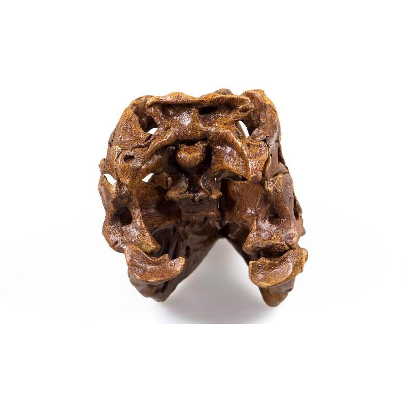 Master Replicas T-Rex Skull Quarter Scale Smithsonian Fossil Replica - 11 Inches