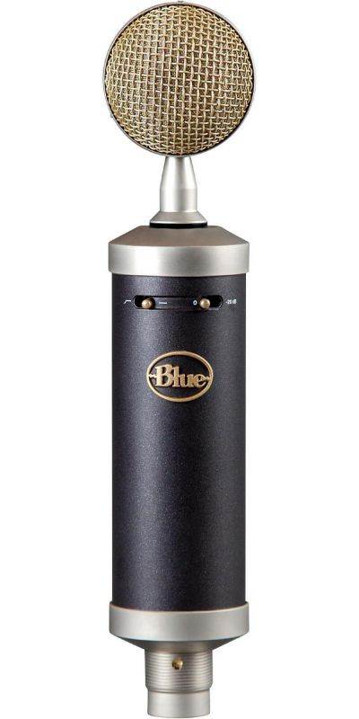 BLUE Baby Bottle SL Large-Diaphragm Studio Condenser Microphone