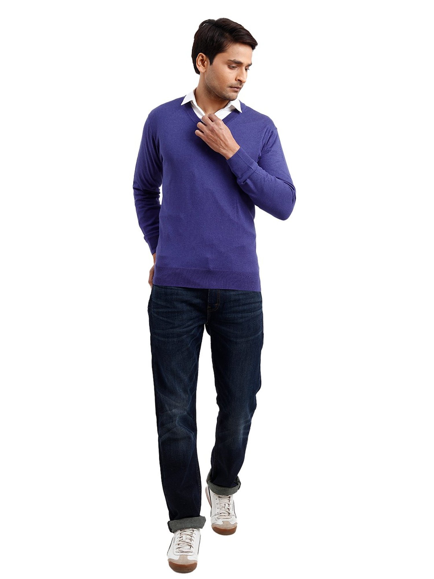 ColorPlus Indigo Blue Regular Fit V Neck Sweater