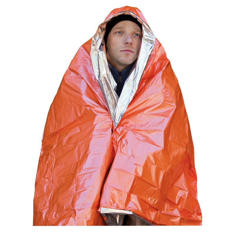 Ninola Design Fresh flowers Pink Picnic Blanket - Deny Designs