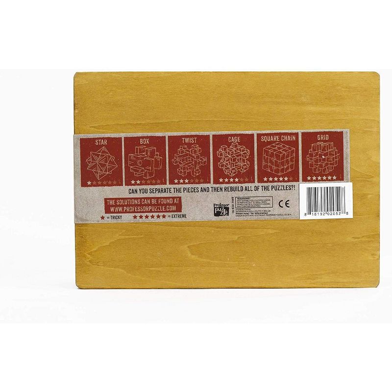 Professor Puzzle The Puzzle Chest 3D Wooden Brain Teasers 6 Piece Set