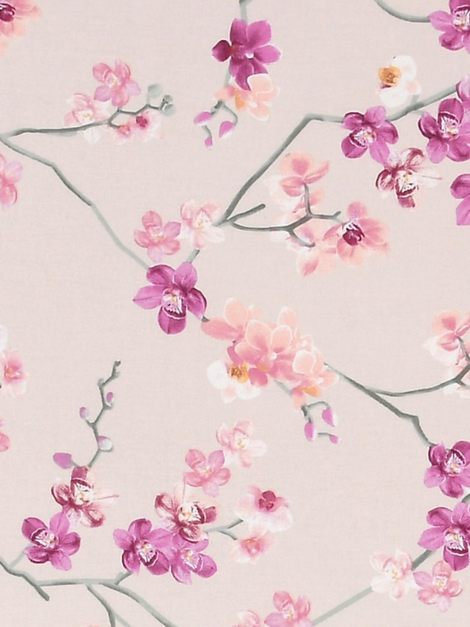 Haus & Kinder Serene Floral Art Pink 186 TC Cotton Queen Bed Sheet with 2 Pillow Covers