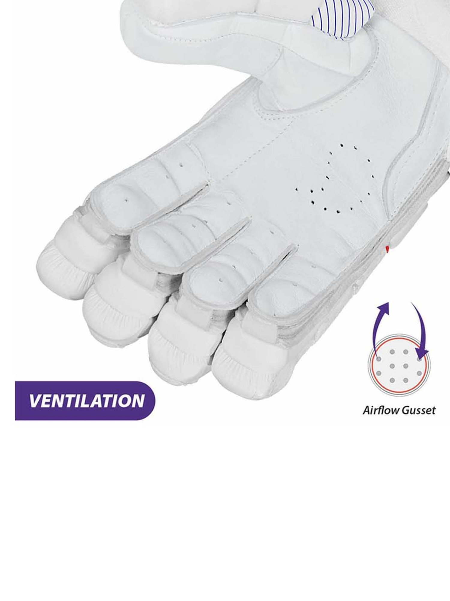DSC Cricket Krunch The Bull Autograph Batting Gloves Size - Mens
