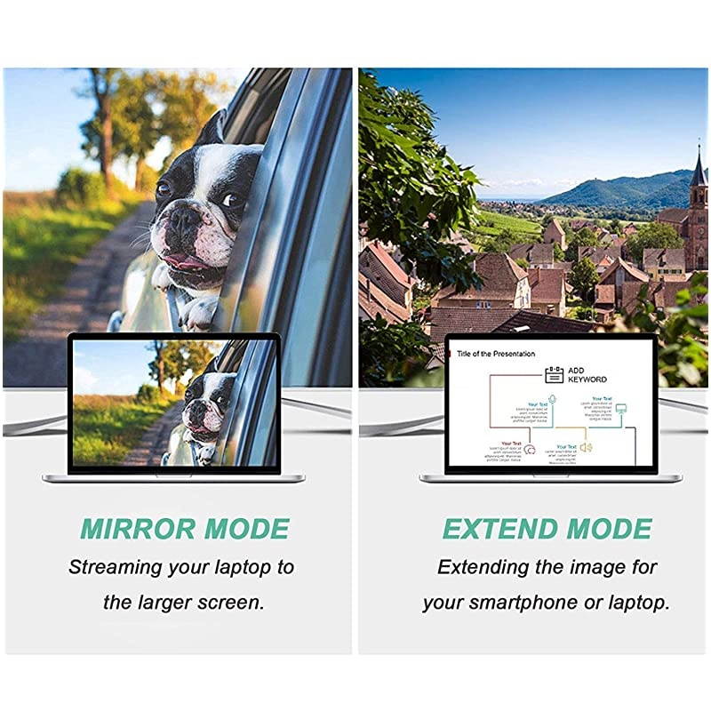 Mini DisplayPort to DVI Cable  Mini DisplayPort to DVI 6 Feet Cable Thunderbolt 2 Compatible with MacBook AirPro Surface ProDock Monitor Projector