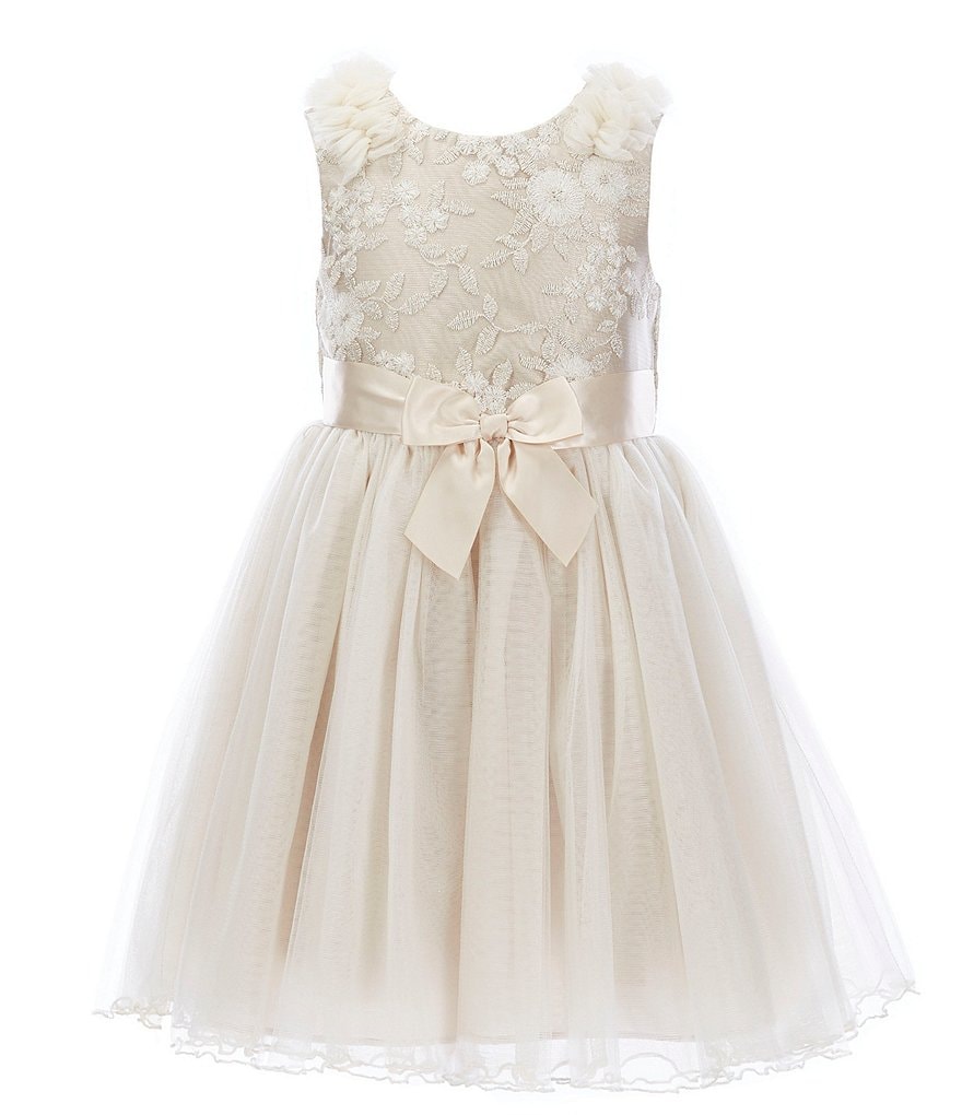 Bonnie Jean Toddler Girls 2T-4T Embroidered/Mesh Ballerina Dress