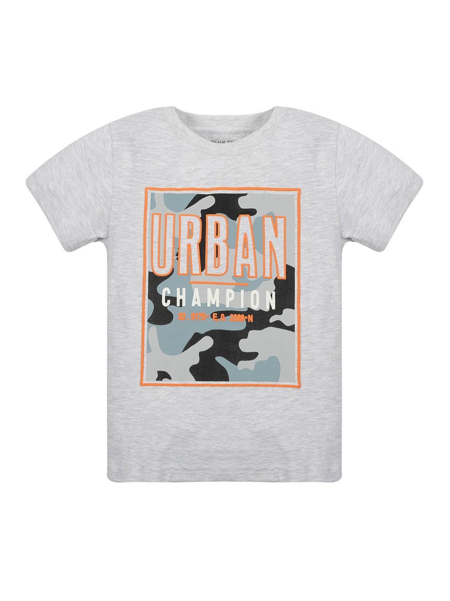 Plum Tree Kids Grey & Navy Printed T-Shirt (Pack Of 2)