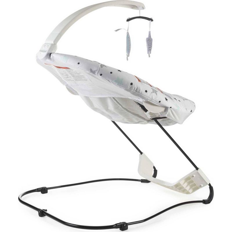 ​Fisher-Price Baby Bouncer