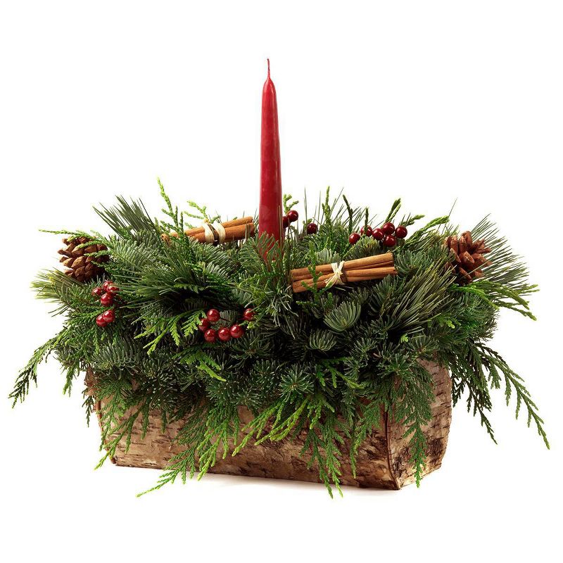 Live Fresh Cut Pacific Northwest Birch Log Centerpiece with Candle - Van Zyverden