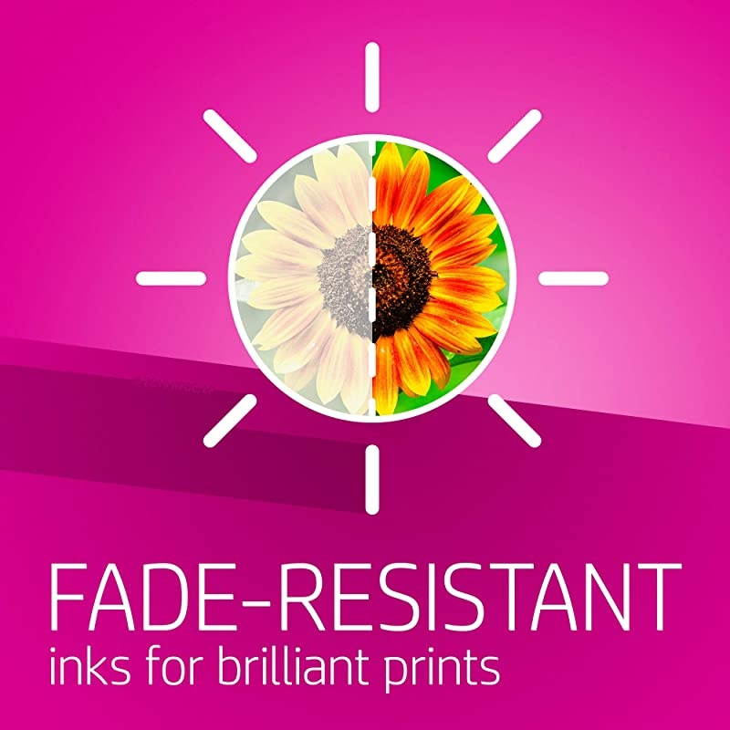 910 | Ink Cartridge | Black | 3YL61AN