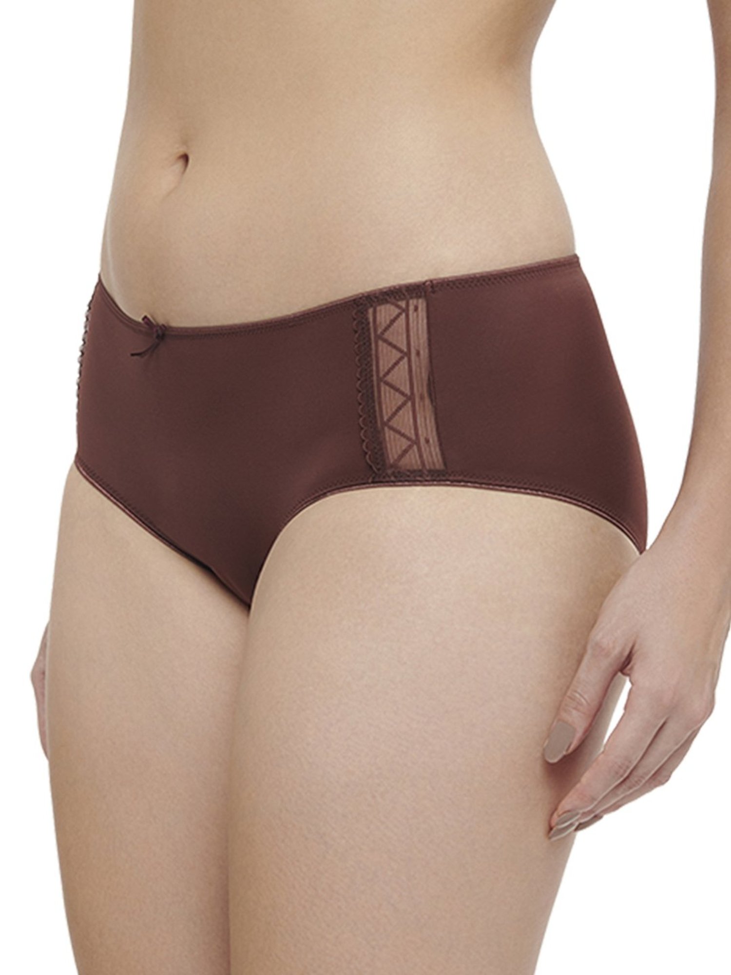 Triumph Brown Lace Work Hipster Panty
