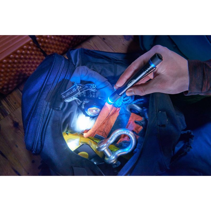 Police Security Aura 160 Lumens LED Penlight